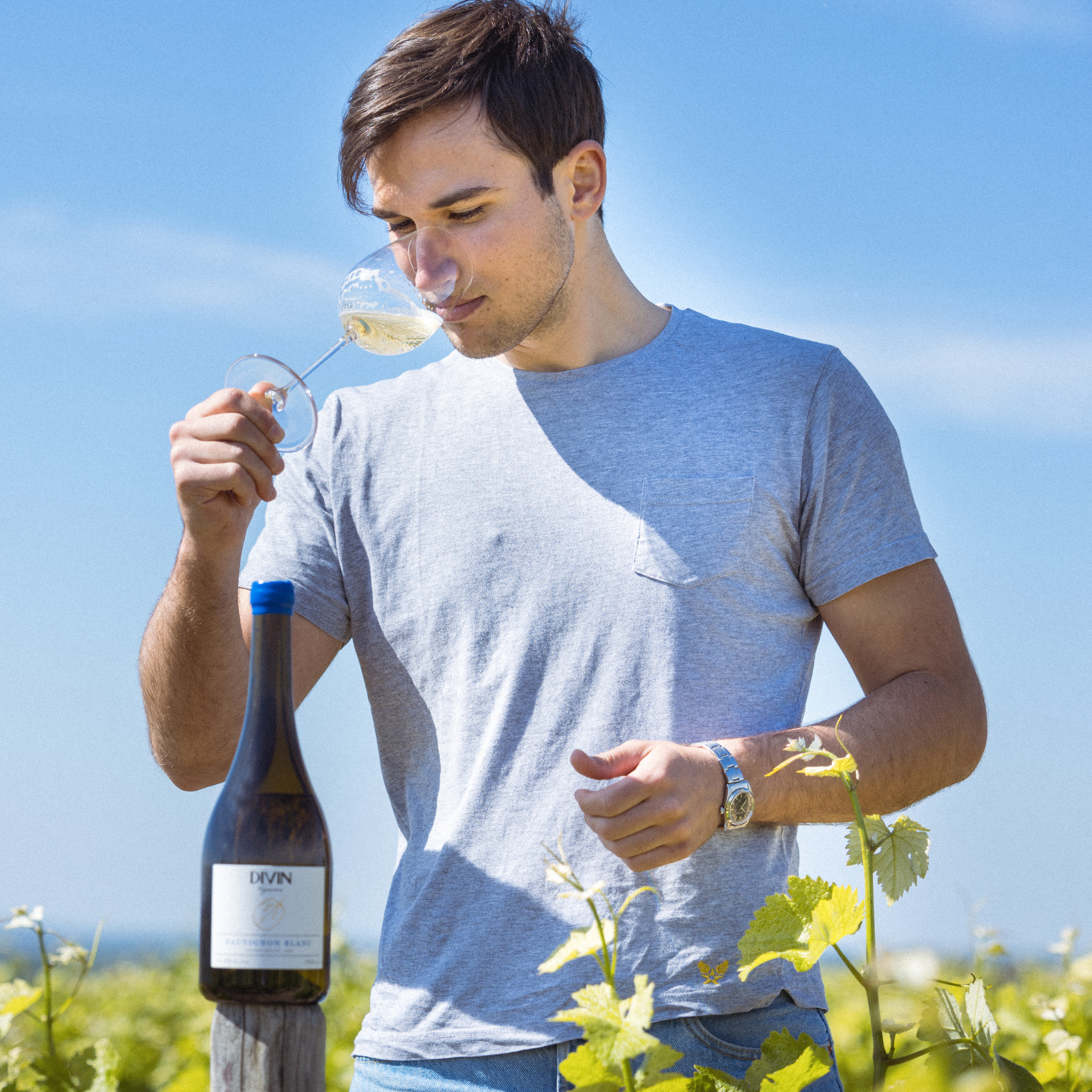 Collection Vigneron - Sauvignon blanc