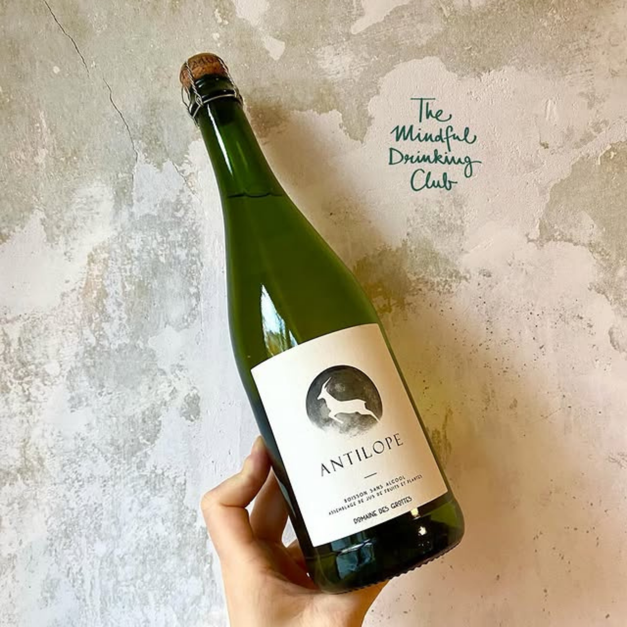 Antilope Blanc - Jus de Fruits et Tisane