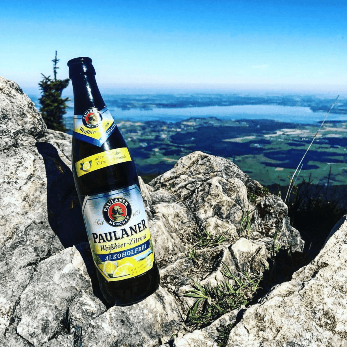 Alkoholfreies Zitronen-Weißbier 0,0 % 33 cl - Paulaner