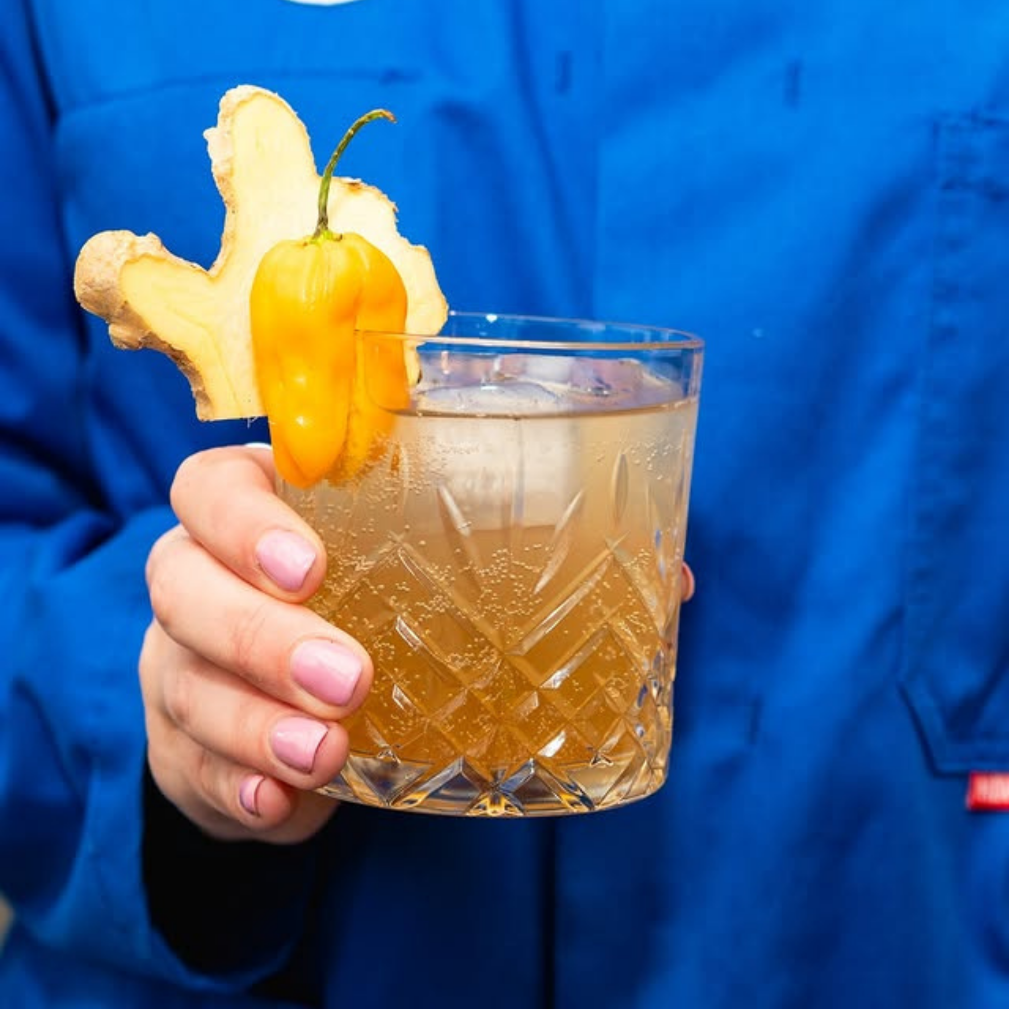 Sirop Madame Gingembre - Roze Bunker