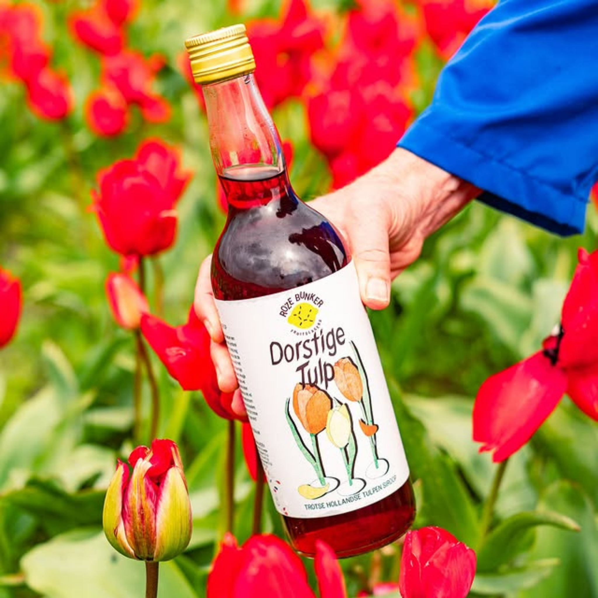 Sirop Tullip - Roze Bunker