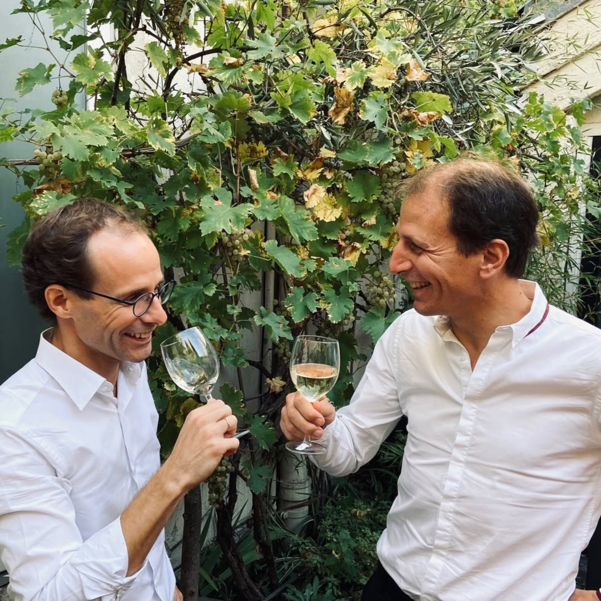 Tour de France #1 — Bordeaux & Sud-Ouest : le berceau du vin sans alcool