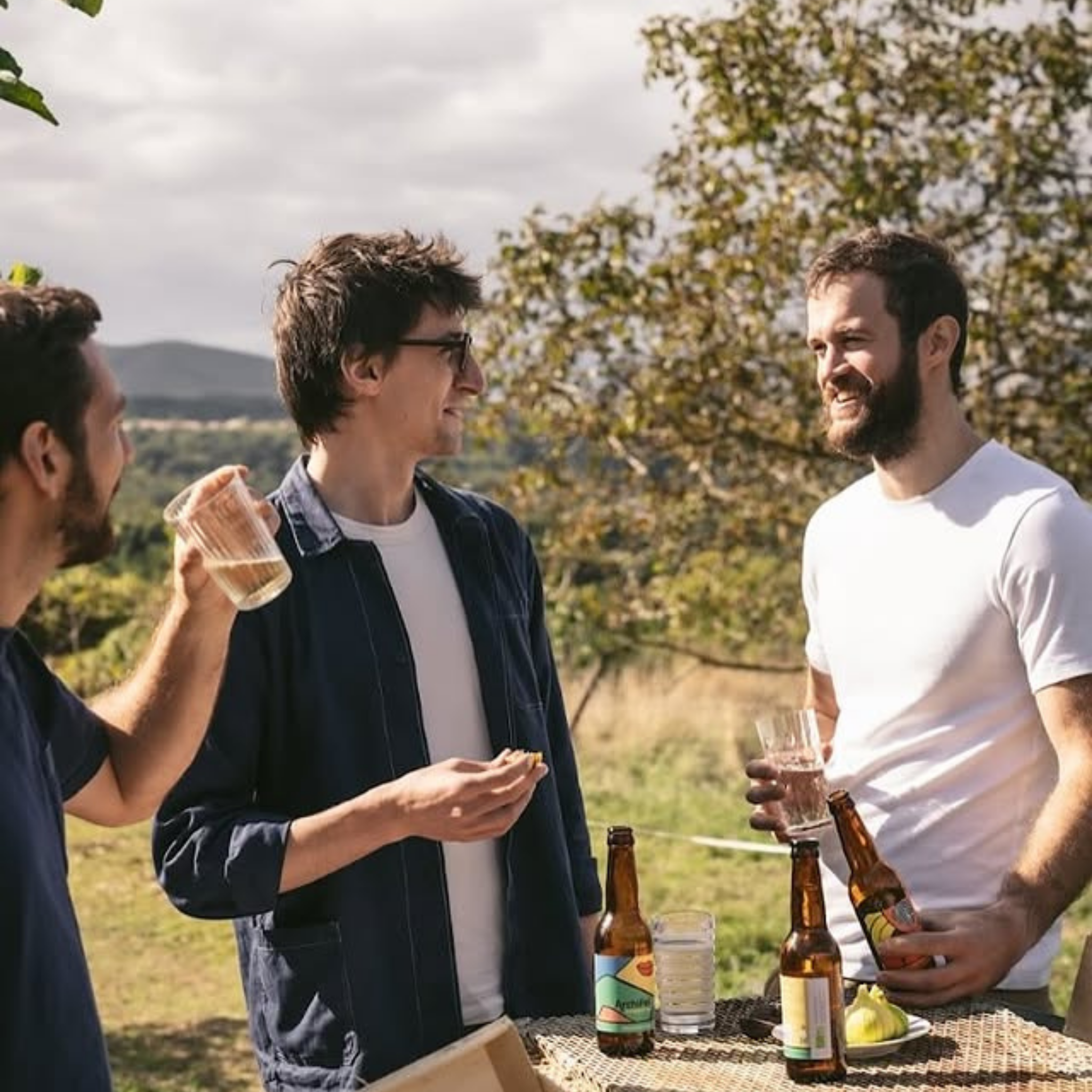 Kombucha Figuier bio