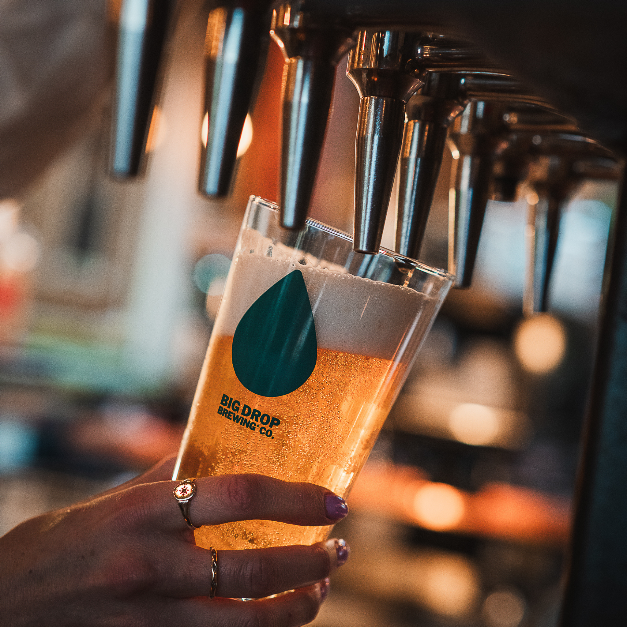 Paradiso Citra IPA