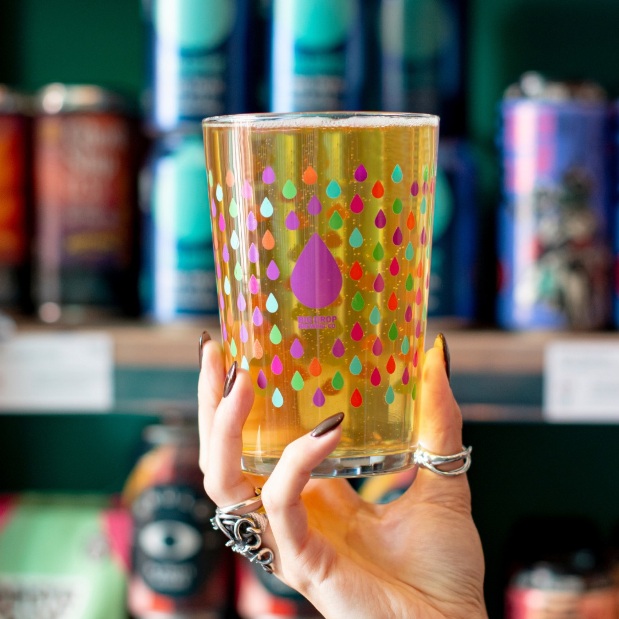 Reef Point - Craft Lager