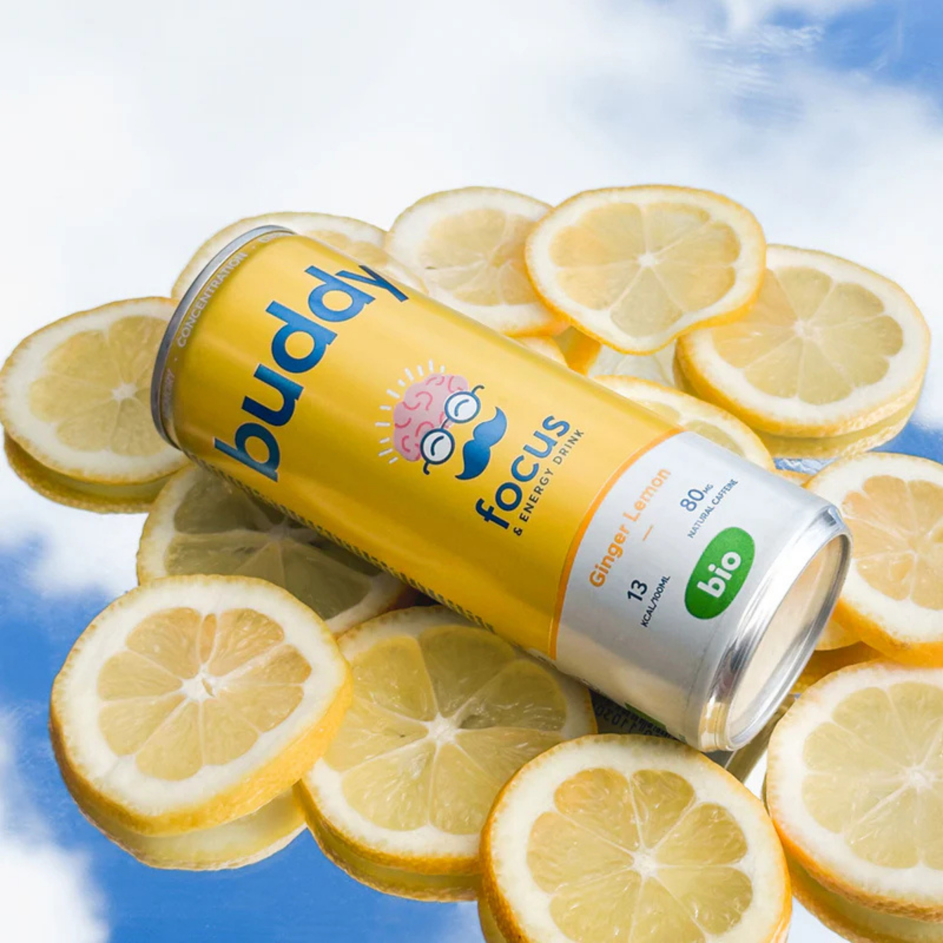 Citron Gingembre bio