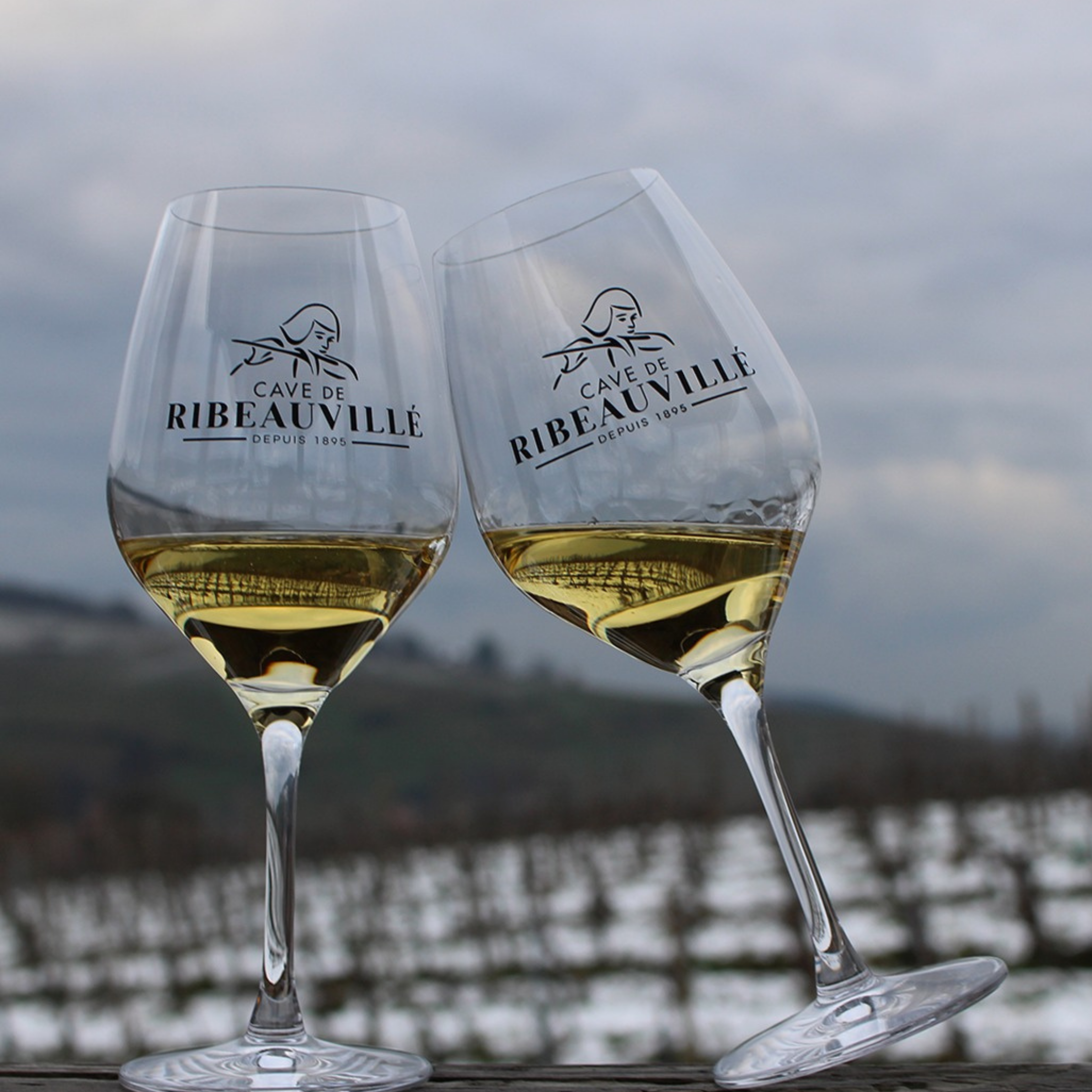 Rib0 Muscat Sylvaner