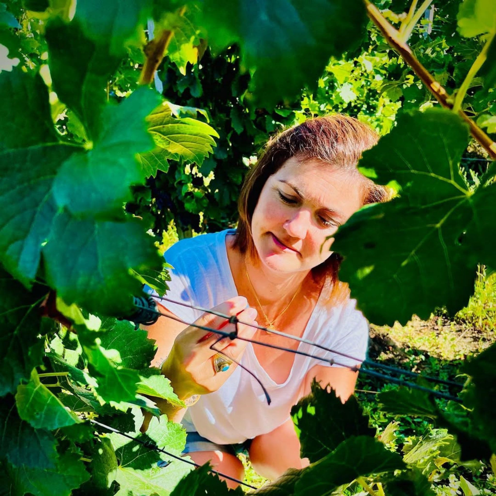 Eden - Sauvignon blanc