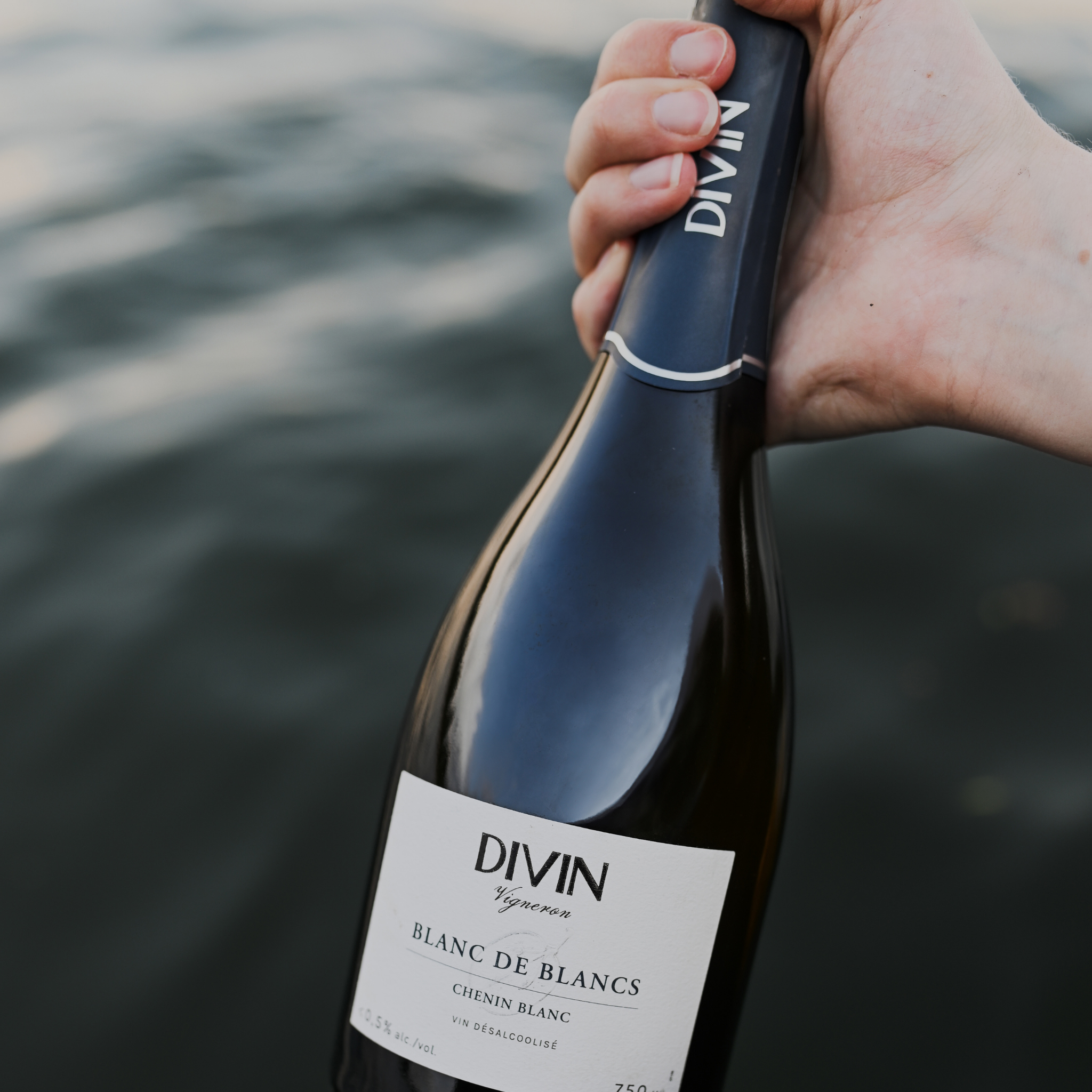 Collection Vigneron - Blanc de Blanc