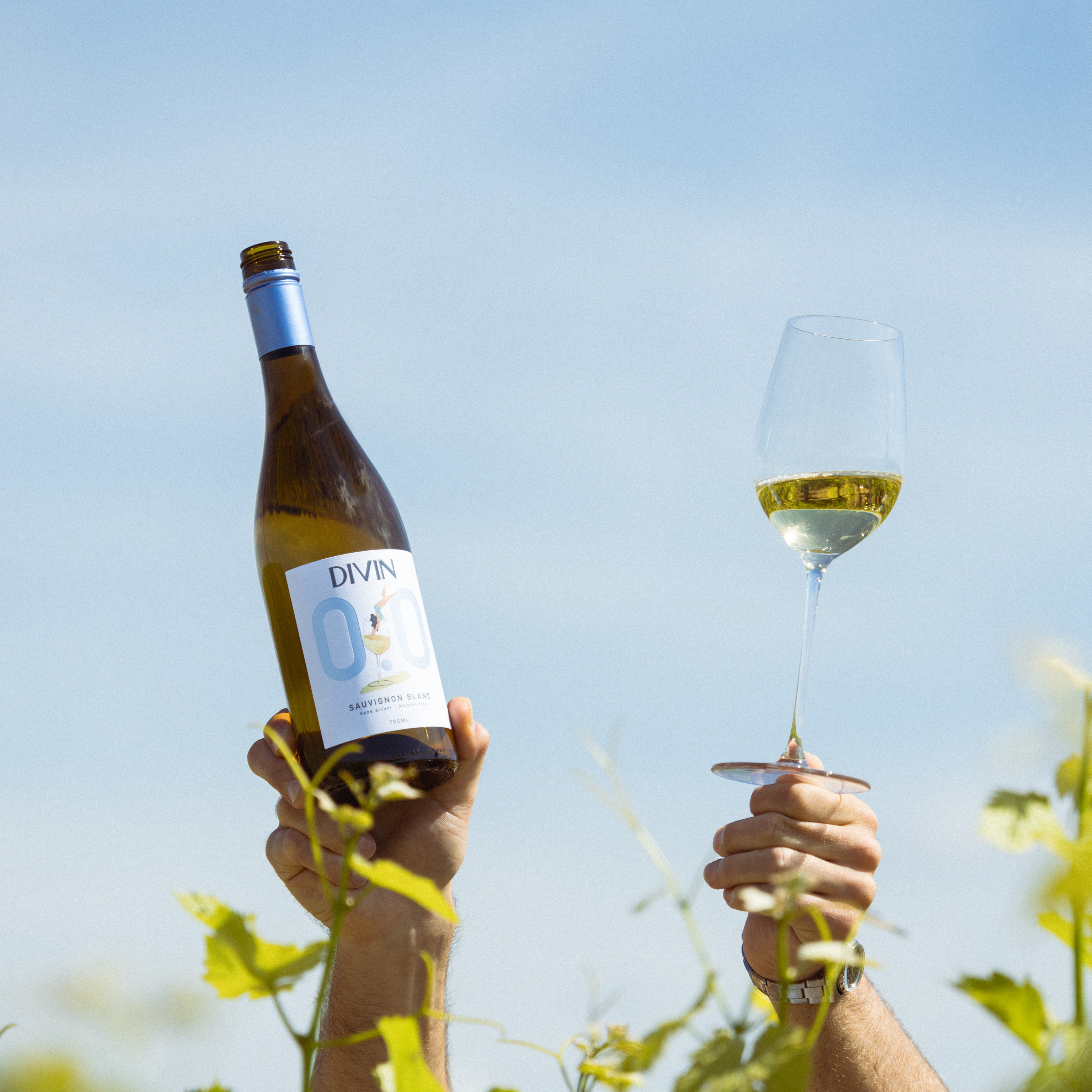 Sauvignon blanc