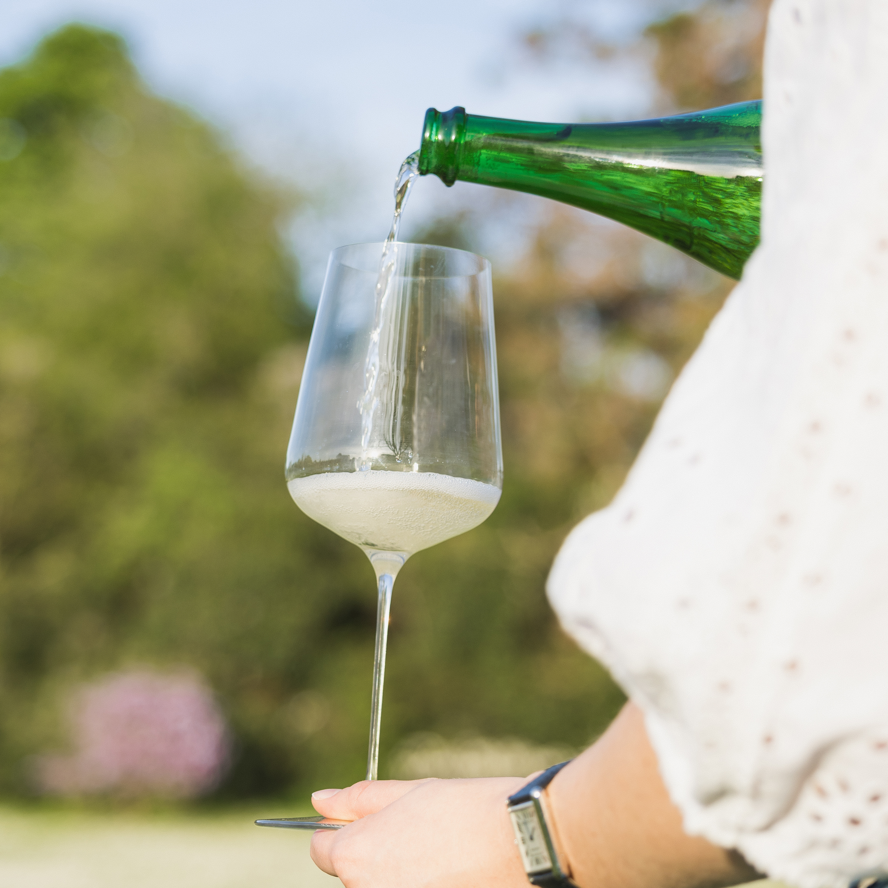 Sauvignon blanc effervescent