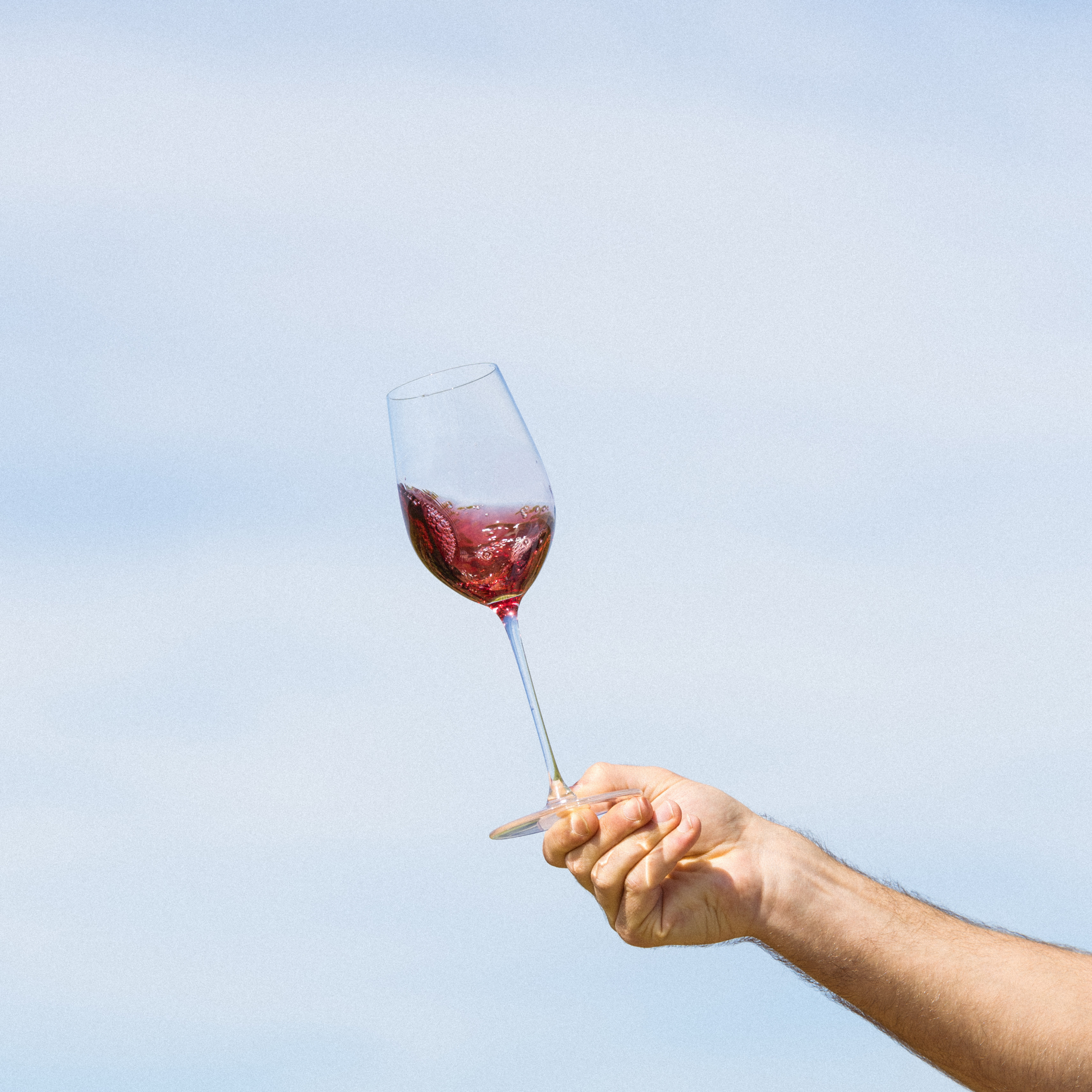 Collection Vigneron - Pinot noir