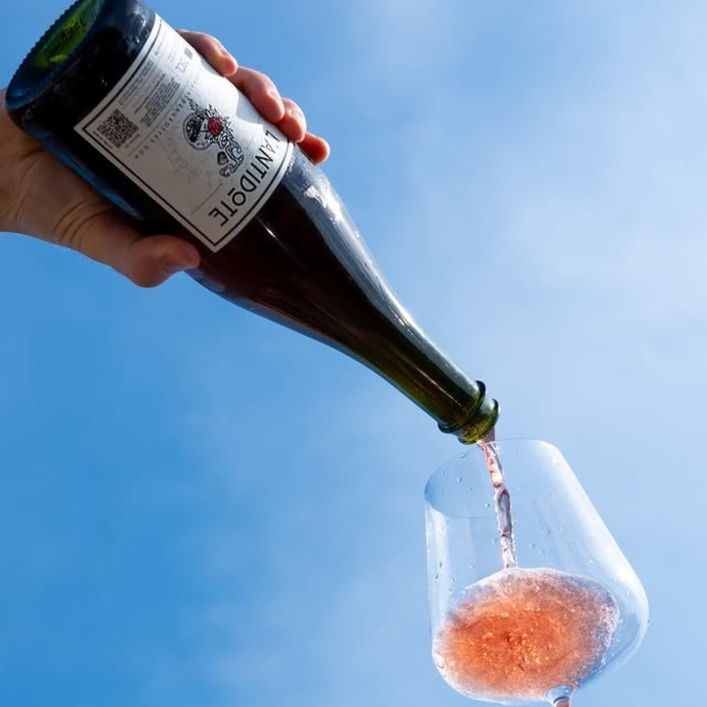 Antidote Rouge - Jus de Fruits et Tisane - Domaine des Grottes