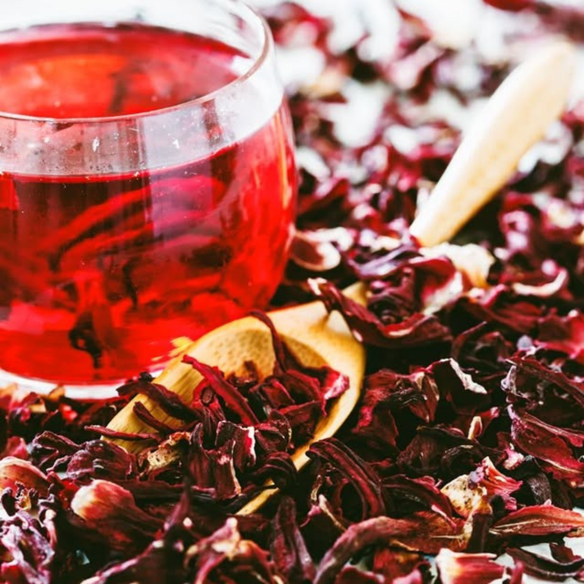 L'Hibiscus