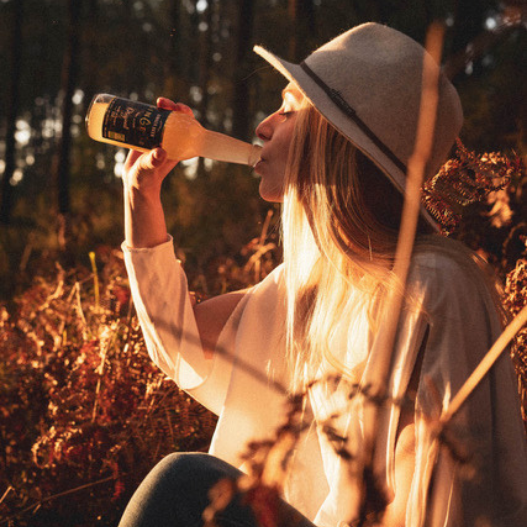 Ginger Beer Bio
