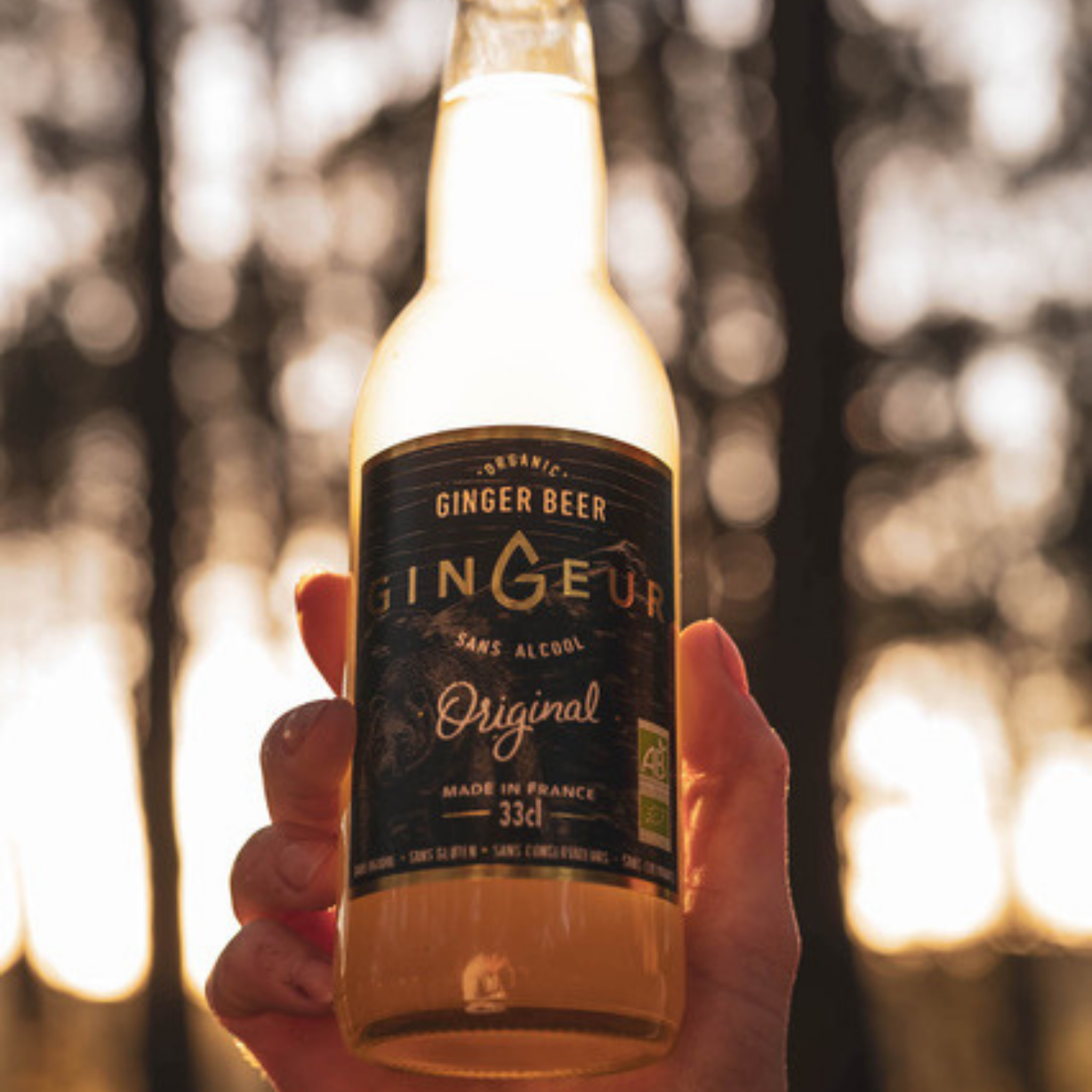 Ginger Beer Bio
