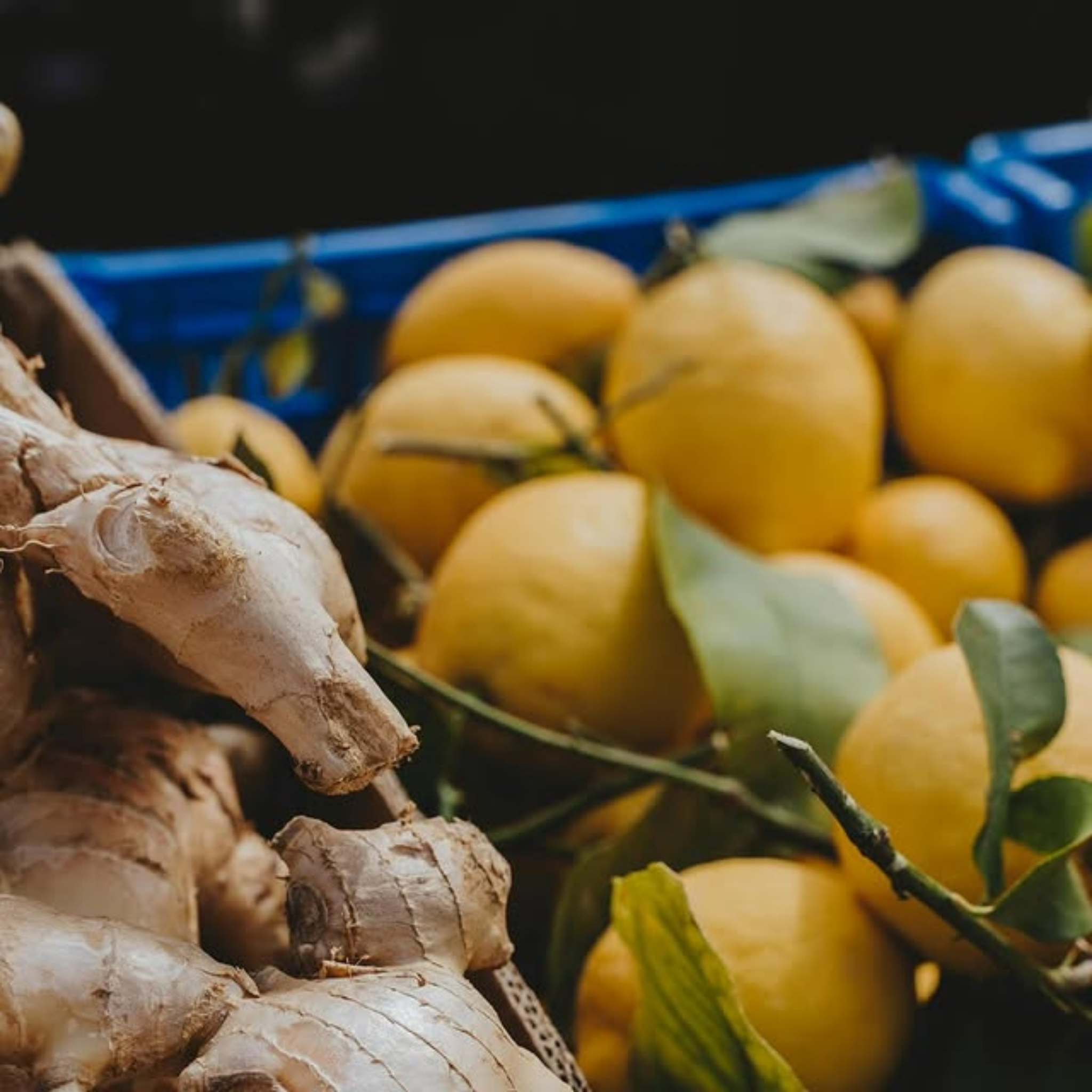 Gingembre Citron