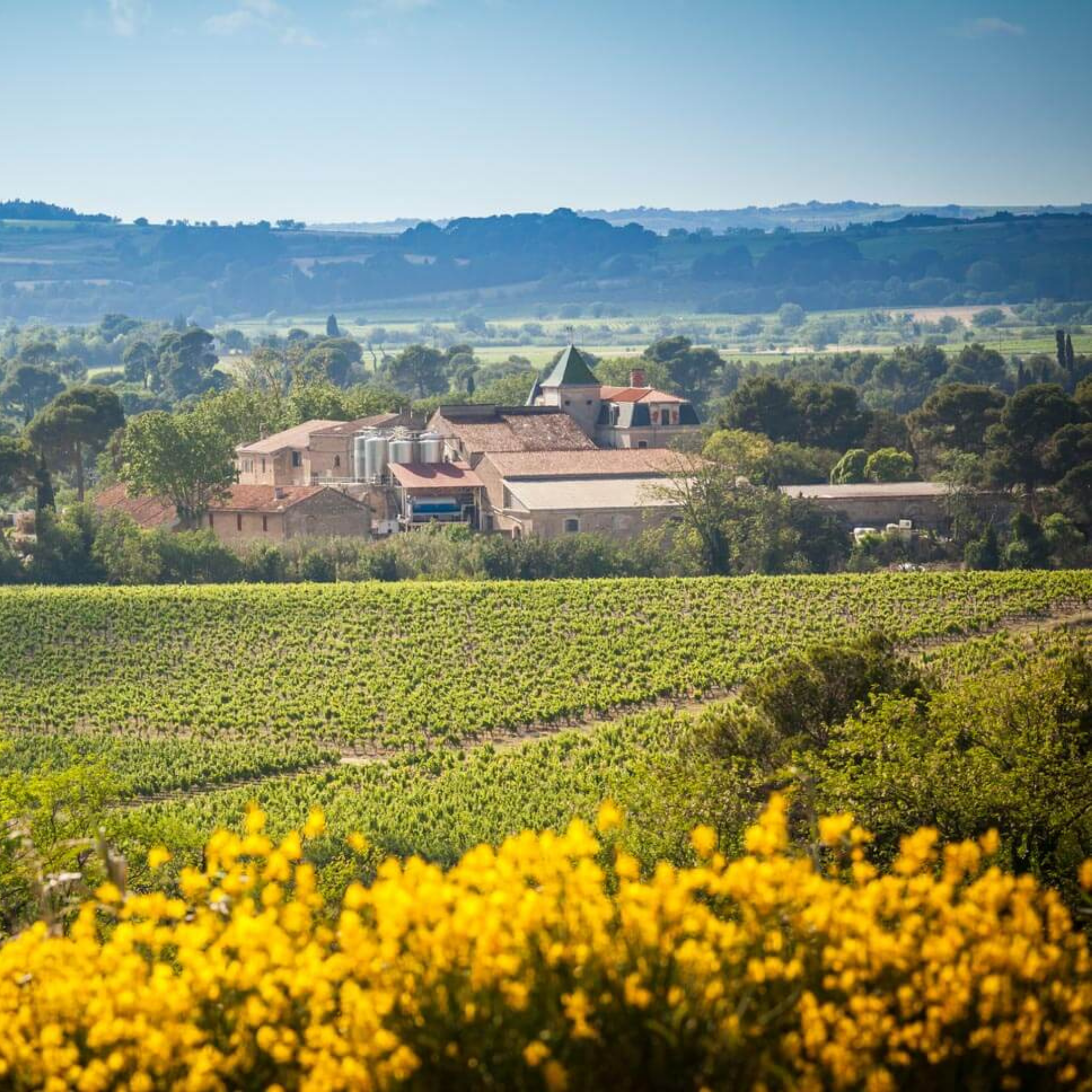 La Provenquière - Sauvignon Blanc “Lirou Valley” 0 %