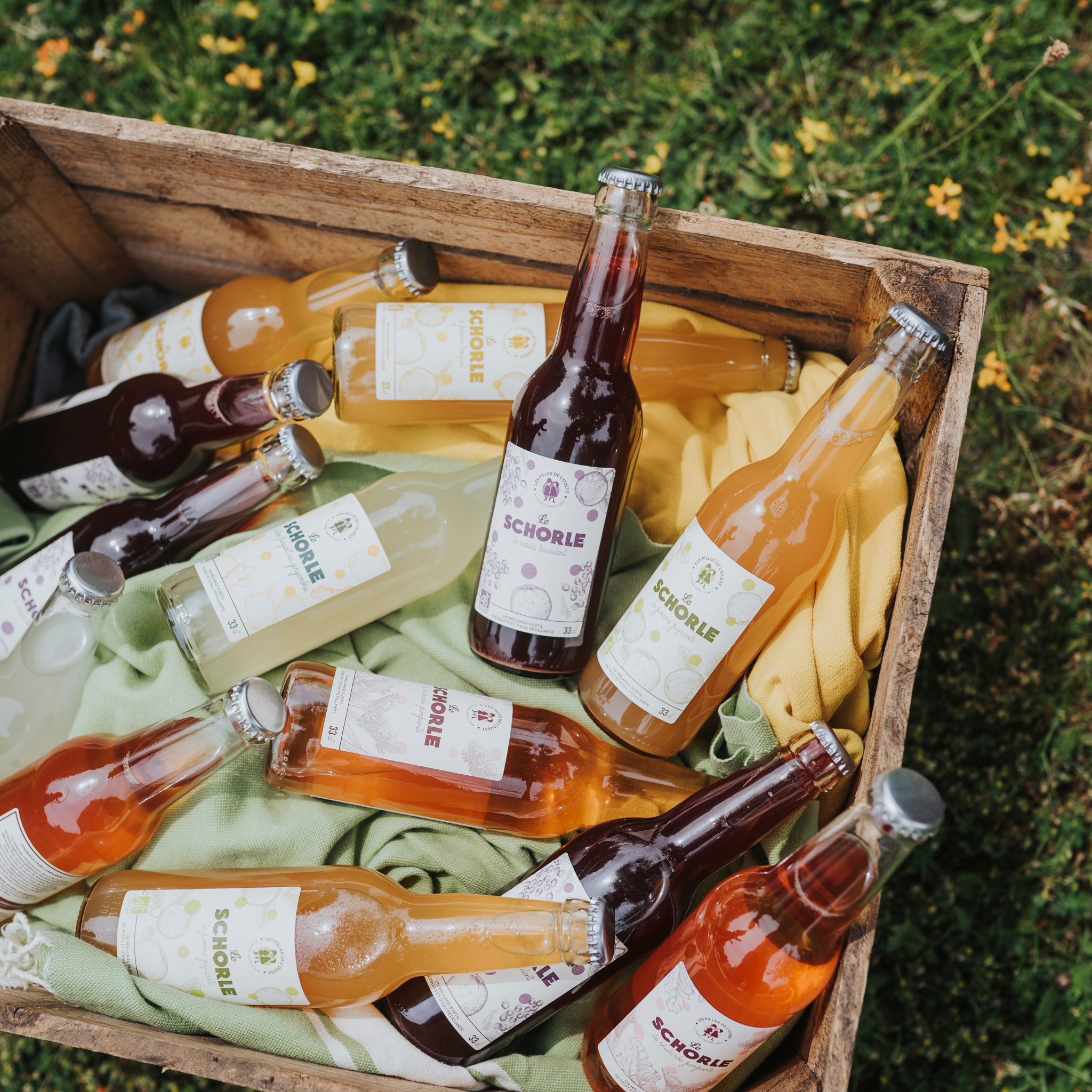 Le Schorle Cassis Truculent
