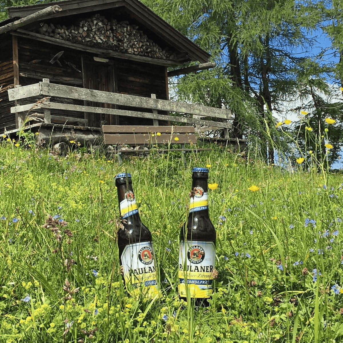 Alkoholfreies Zitronen-Weißbier 0,0 % 33 cl - Paulaner