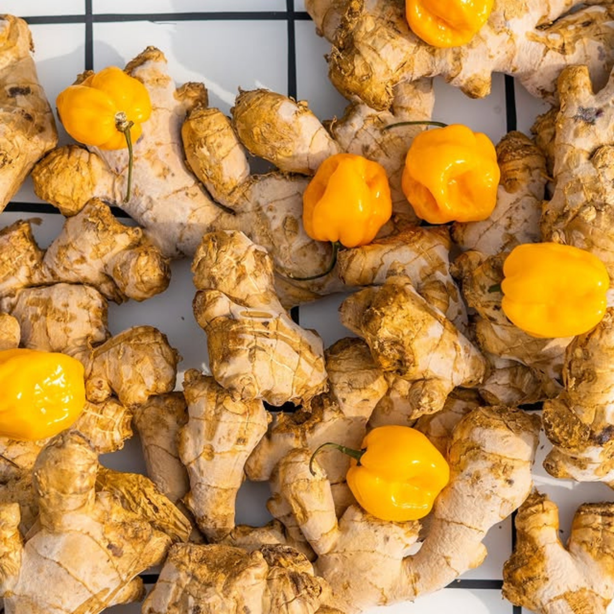 Sirop Madame Gingembre - Roze Bunker