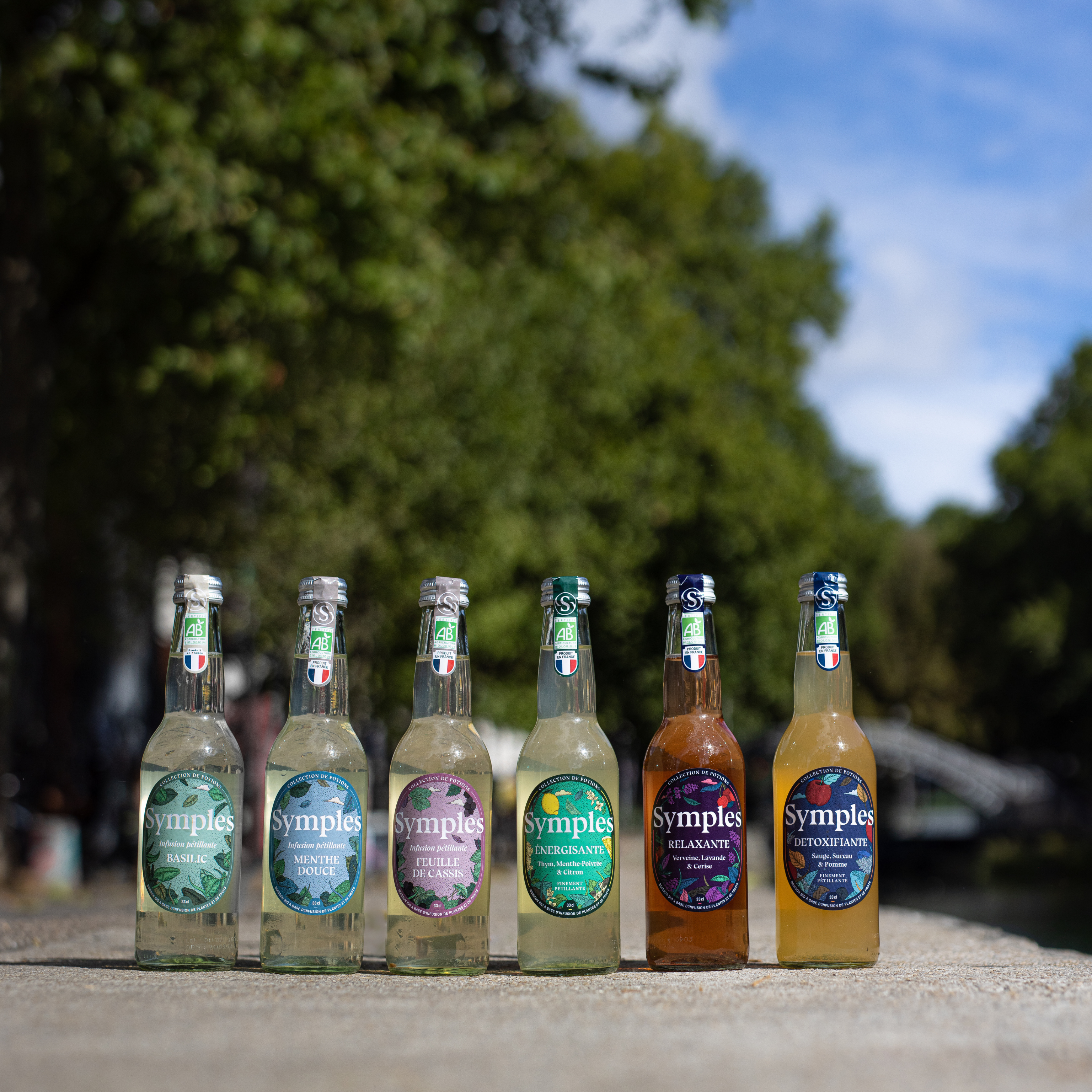 Infusion pétillante Feuille de Cassis bio