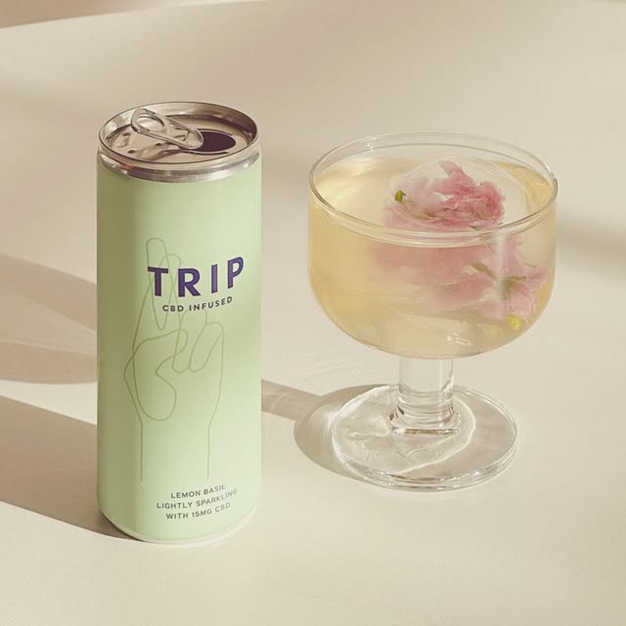 Boisson au CBD Citron Basilic