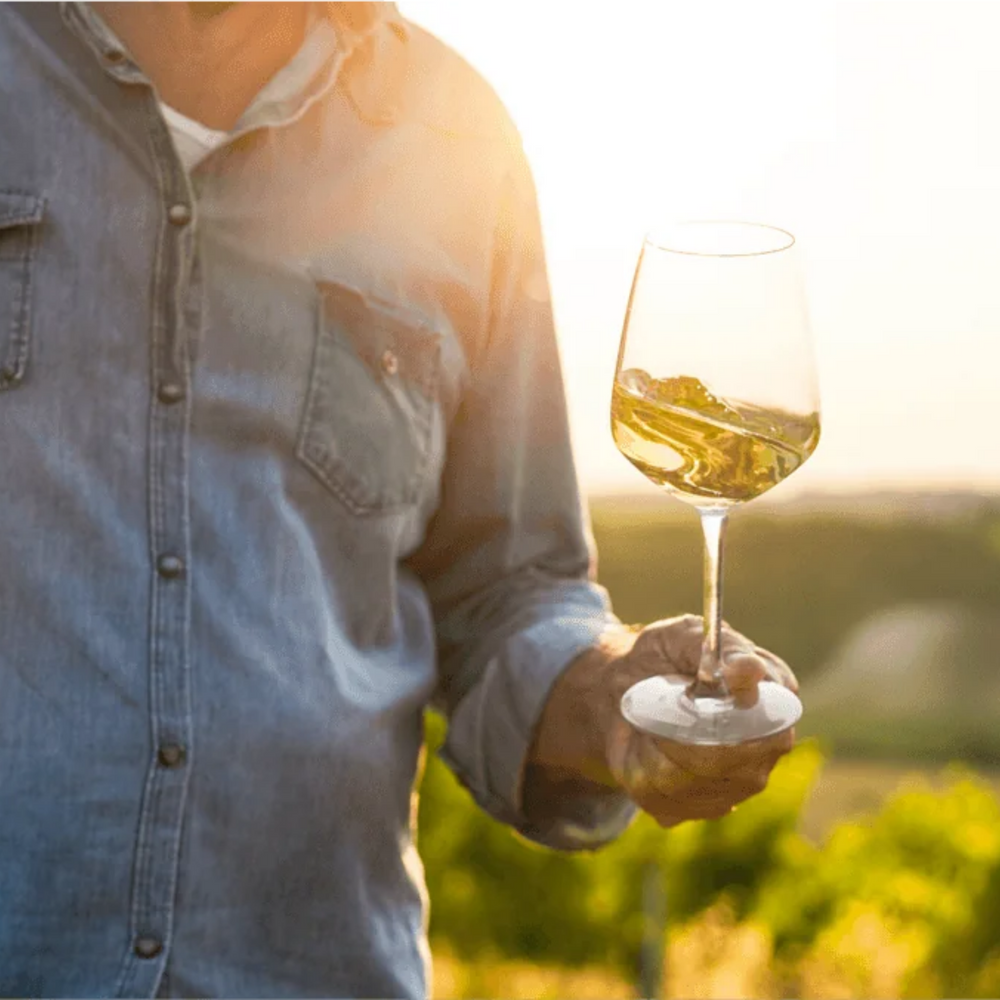 Sauvignon Blanc 0% - UBY