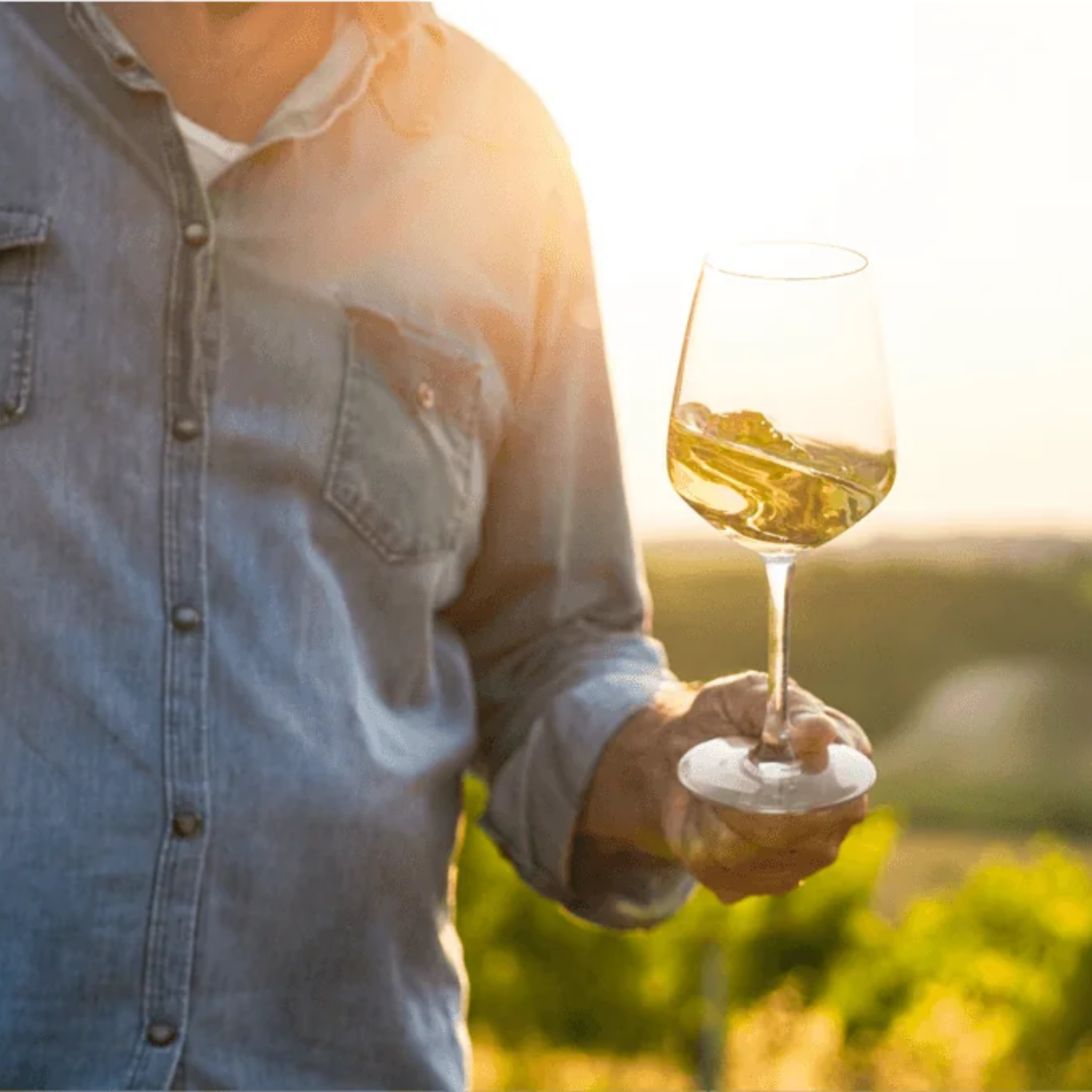 Sauvignon Blanc 0%
