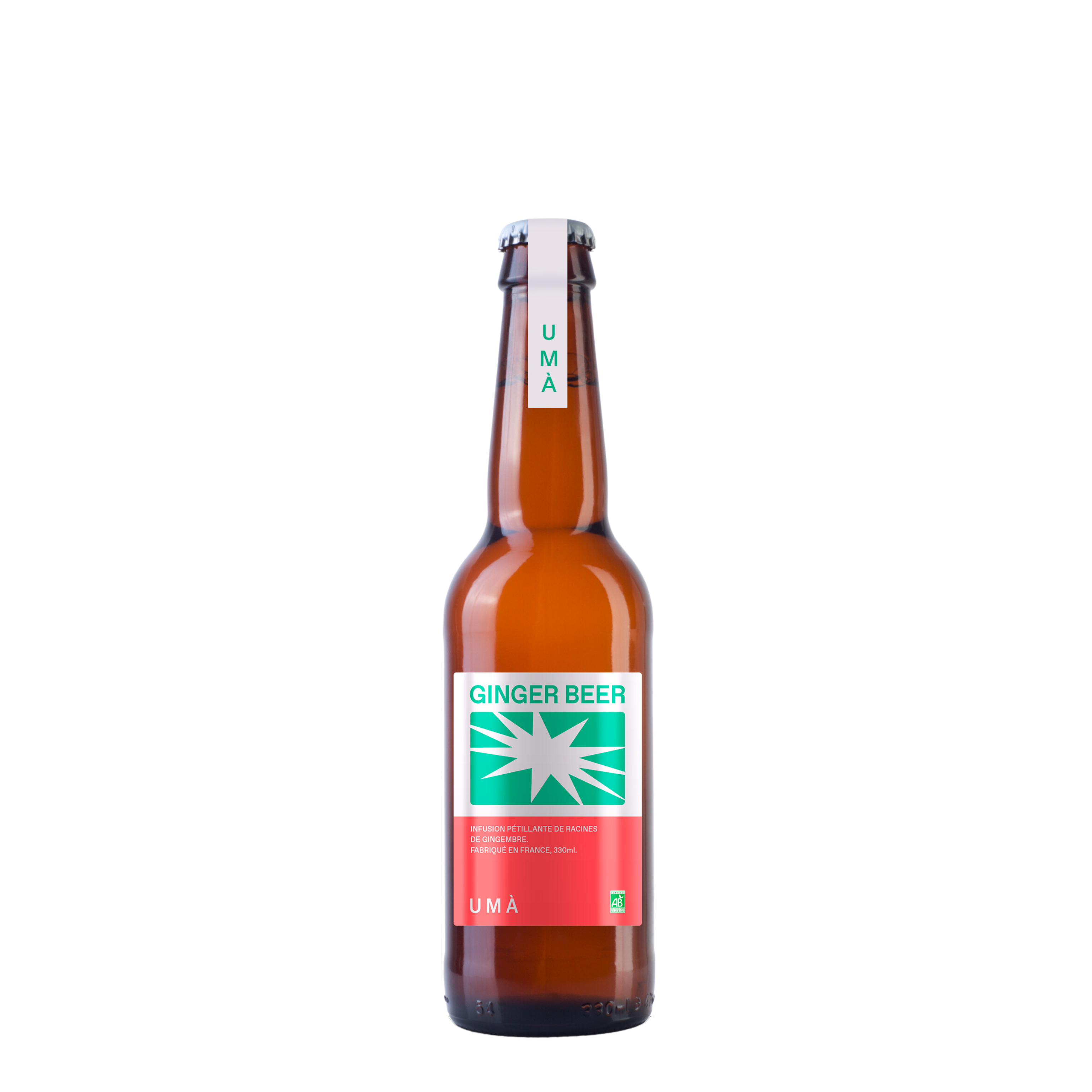 Ginger Beer bio
