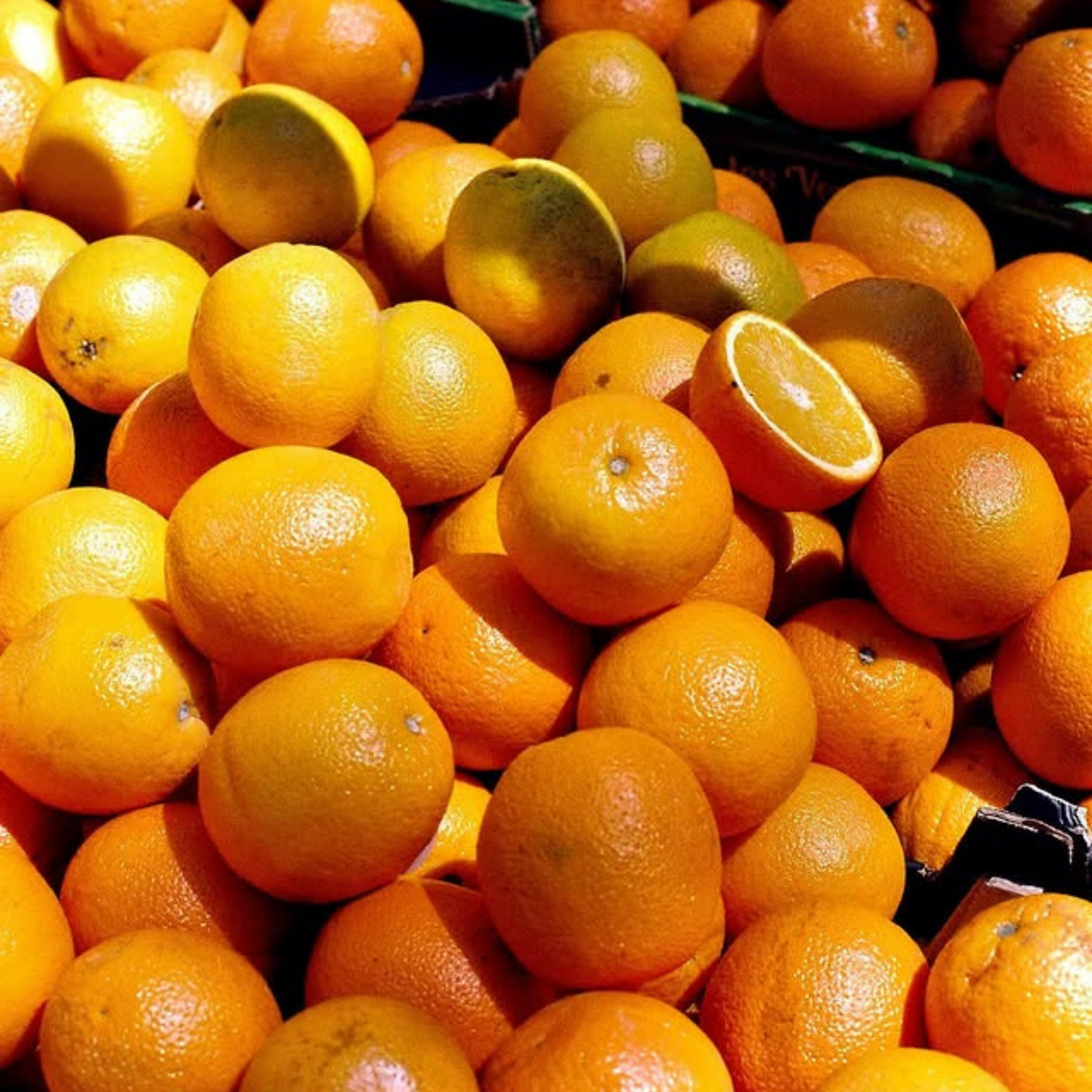 Orangeade bio