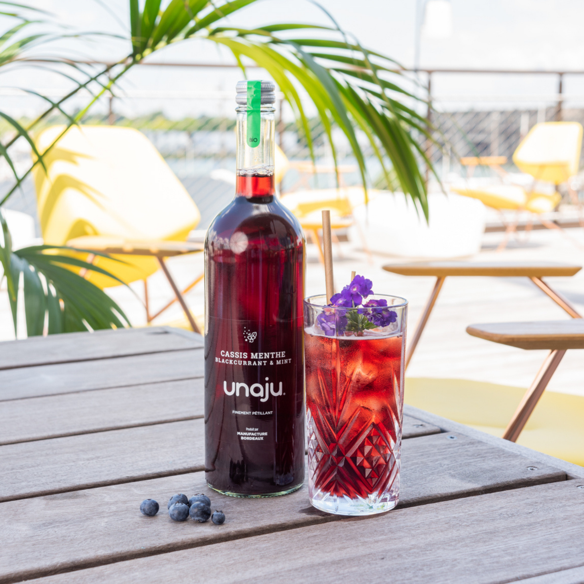 Cassis Menthe